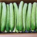 문수농장 이미지