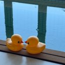 오리 아뜰리에 이미지