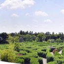 메이즈랜드 이미지