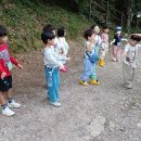 7월 셋째주 유치3-3(안단테반) 이미지
