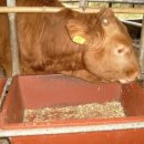 은석농장 이미지