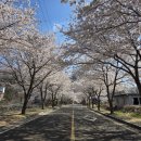 용연낚시터 이미지