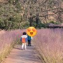 숲내음공원 | [외출n체험활동] 대구 4세 아이와 가볼 만한 곳 무학숲 겨울 숲체험 기록