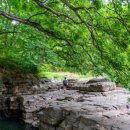 옥산축산 이미지