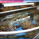 풍차횟집 이미지