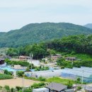 소초농장 | 🌳 원주 소초 카페 ‘카페지’ – 외관 보고 창고인 줄 알았지만