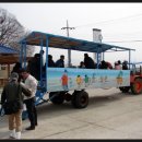 하전어촌체험마을 이미지