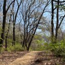 조원공원 이미지