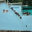 이레조은 선물가게 | 파주 조은도너츠 B세트 택배 예약 빵순이 빵지순례 필수 코스