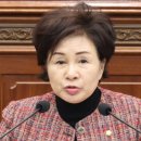 완월동149 이미지