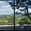 속리산cc 이미지