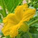 둥지부동산중개 이미지