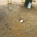 젤미공원 이미지