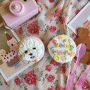 마닐마닐 수제간식 이미지