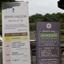 아름다운금수강산새복지문화 | 양평 당일치기 여행 알차게 다녀오기 용문사 두물머리 양평군립미술관 소풍 카페