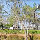 남흥공원 이미지