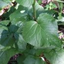 DB스파월드 이미지