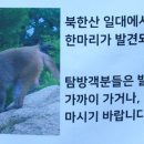 자연보호헌장기념비 이미지