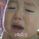 응도
