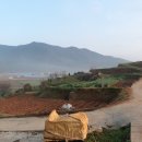 대곡농업협동조합 이미지