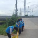 갈산-비상-1 이미지