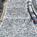 인산인해 이미지