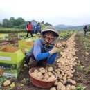 보성녹돈삼합 이미지