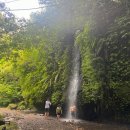 세풍식당 | 발리 동부투어 한국인 별로 없는 세풍폭포 Tukad Cepung Waterfall 다녀온 후기