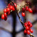 지리산 다랭이 스테이 이미지