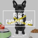 바둑아 사랑해 이미지