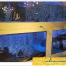 거북공원(농구장) 이미지