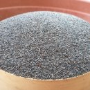 으뜸농장 2 이미지