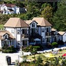 숲속의 별들 이미지