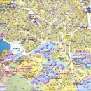 동조리젠시 이미지