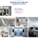 백호동물병원 | 위중한 고양이 칼리시 코로나 범백 전염병 복합감염도 살린 고양이병원