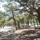 수동고을식당