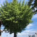 무궁화여관 이미지