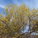 검단산 관광안내소 이미지