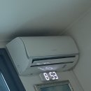 쌍둥축산2 | 2020.03.21~03.22 jeju