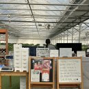 완성농장 | [다인이네 딸기농장🍓🍓] 20개월 아기랑 딸기농장체험 후기 / 딸기체험