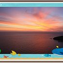 용담광택 이미지