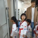 용인대멘토태권도 이미지