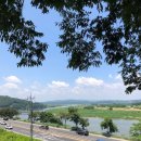 다미가든 이미지