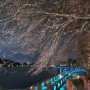 은파호수공원 9-4 이미지