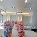동홍동-19 | 서귀포내성발톱 교정 잘하는 샵 닥터아이티엔 서귀포점