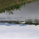 밀양아리랑축제 이미지