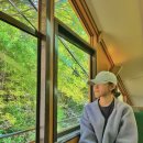 버스정류장 07-189 | 🇯🇵+6 [고베 롯코산] 롯코케이블카로 아리마 온천까지 | 롯코산 버스투어 가격정보