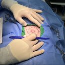 다산아이동물병원 이미지