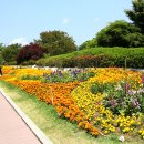 황룡강변2 이미지