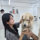 뭉스벨리 이미지